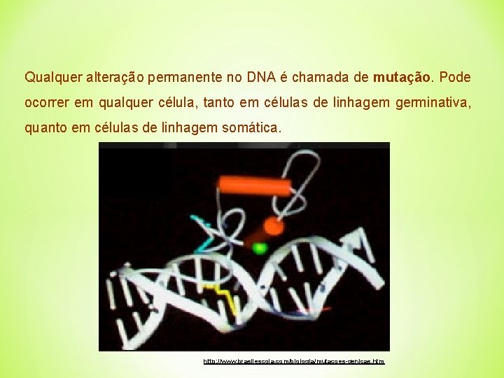 Qualquer alteração permanente no DNA é chamada de mutação. Pode ocorrer em qualquer célula,