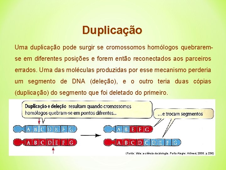 Duplicação Uma duplicação pode surgir se cromossomos homólogos quebraremse em diferentes posições e forem