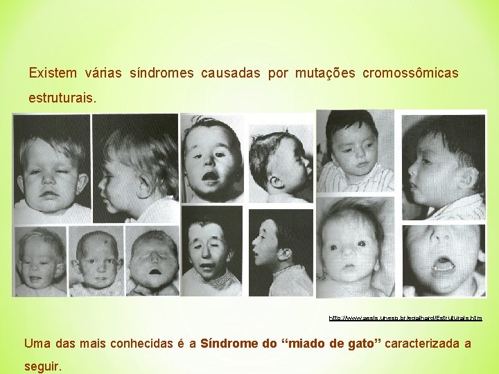 Existem várias síndromes causadas por mutações cromossômicas estruturais. http: //www. assis. unesp. br/egalhard/Estruturais. htm