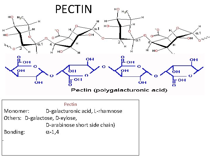 PECTIN Pectin Monomer: D-galacturonic acid, L-rhamnose Others: D-galactose, D-xylose, D-arabinose short side chain) Bonding: