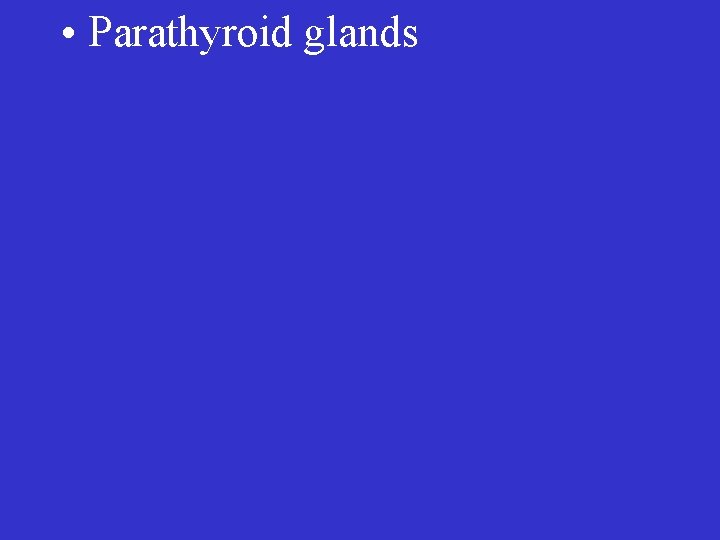  • Parathyroid glands 