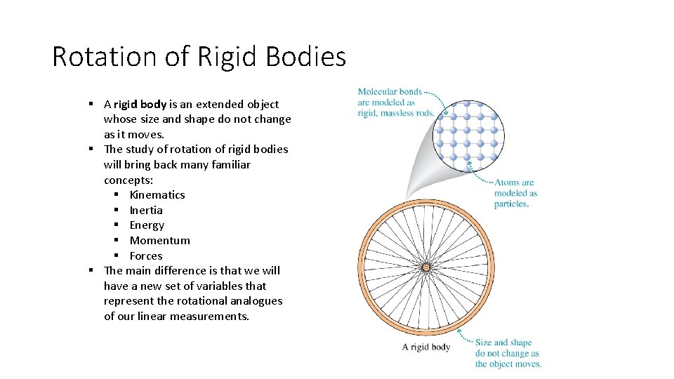 Rotation of Rigid Bodies § A rigid body is an extended object whose size