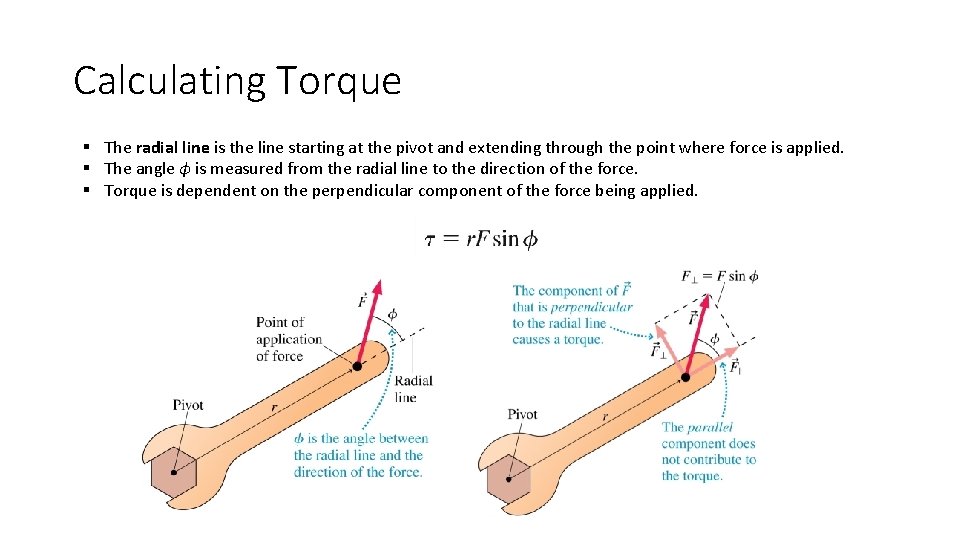 Calculating Torque § The radial line is the line starting at the pivot and