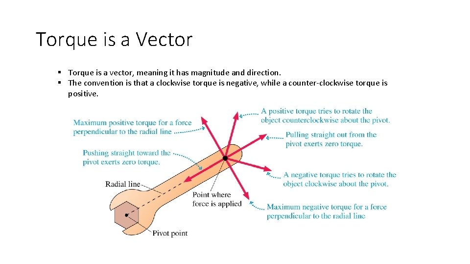 Torque is a Vector § Torque is a vector, meaning it has magnitude and