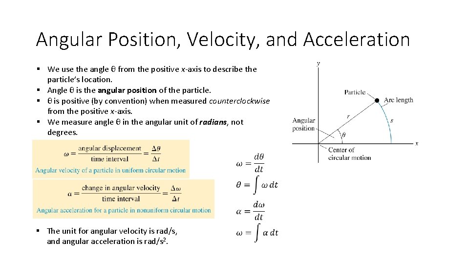 Angular Position, Velocity, and Acceleration § We use the angle θ from the positive