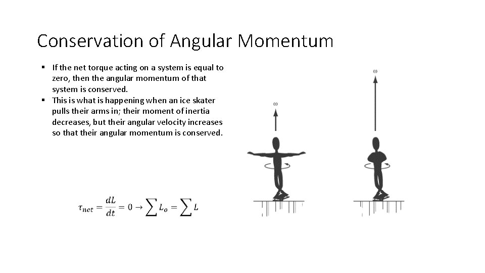 Conservation of Angular Momentum § If the net torque acting on a system is