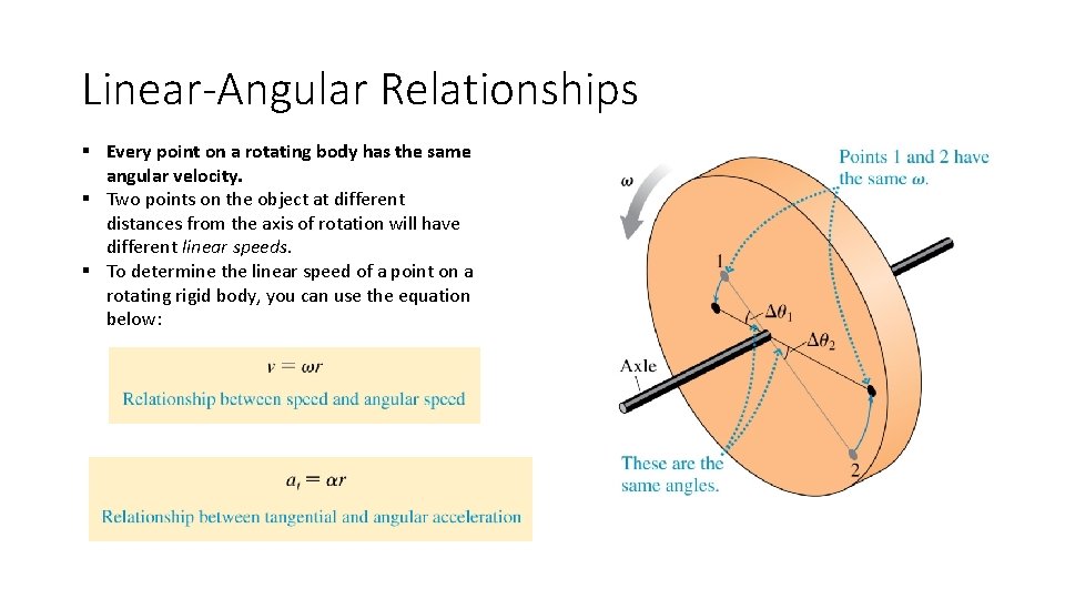 Linear-Angular Relationships § Every point on a rotating body has the same angular velocity.