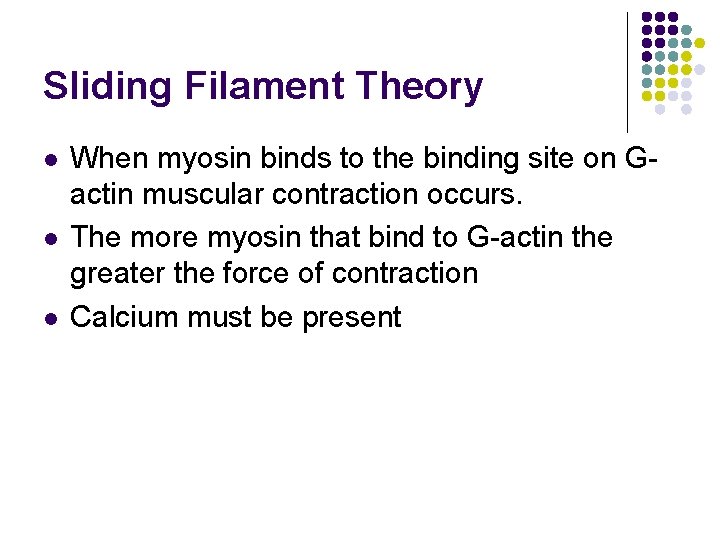 Sliding Filament Theory l l l When myosin binds to the binding site on