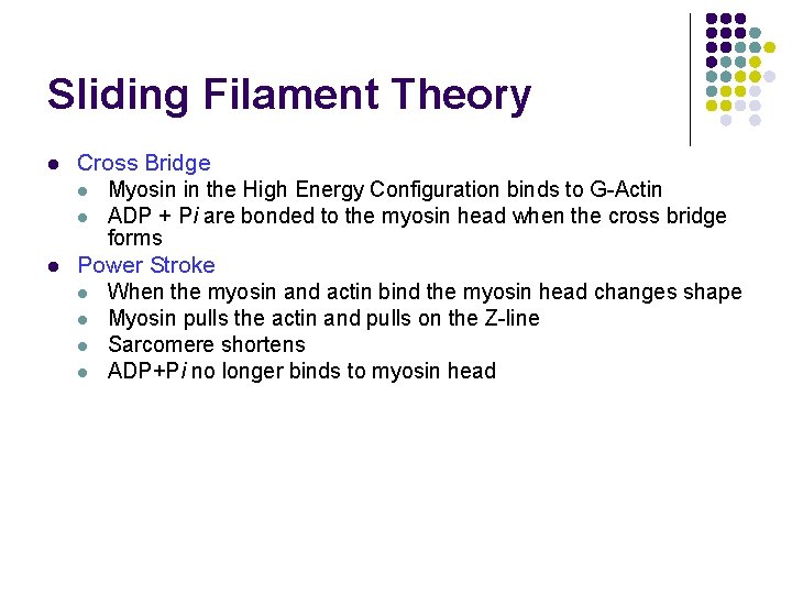 Sliding Filament Theory l l Cross Bridge l Myosin in the High Energy Configuration