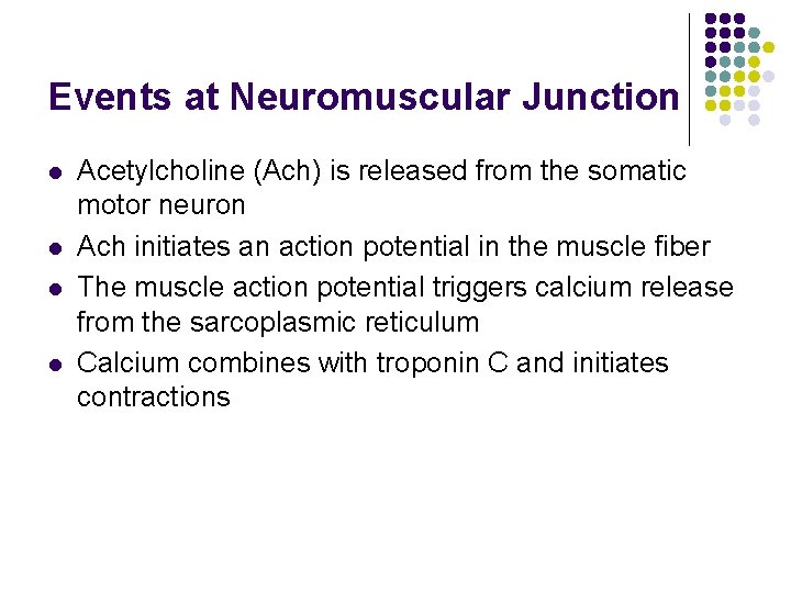 Events at Neuromuscular Junction l l Acetylcholine (Ach) is released from the somatic motor