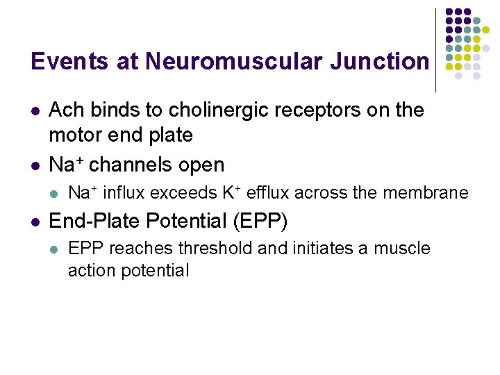 Events at Neuromuscular Junction l l Ach binds to cholinergic receptors on the motor