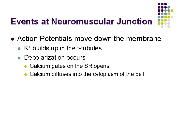 Events at Neuromuscular Junction l Action Potentials move down the membrane l l K+