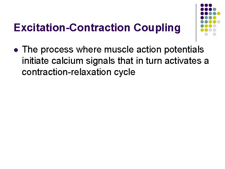 Excitation-Contraction Coupling l The process where muscle action potentials initiate calcium signals that in