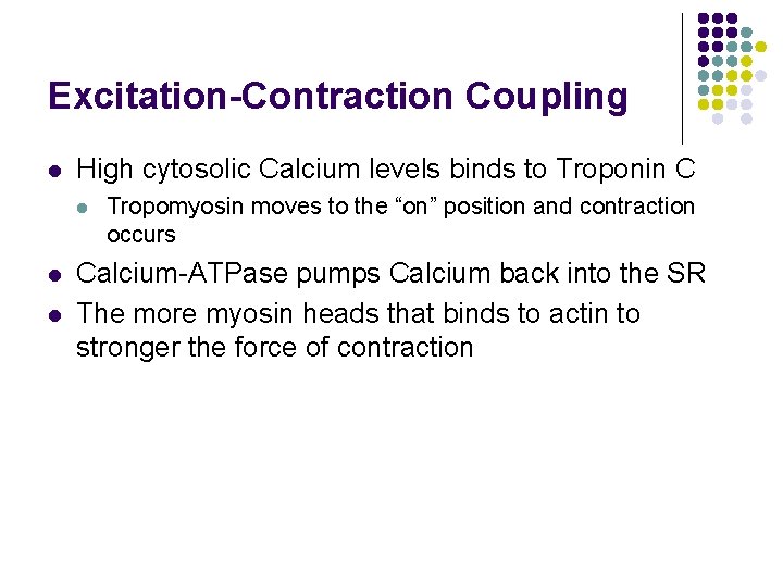 Excitation-Contraction Coupling l High cytosolic Calcium levels binds to Troponin C l l l