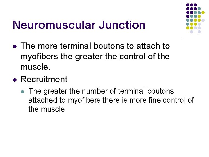 Neuromuscular Junction l l The more terminal boutons to attach to myofibers the greater