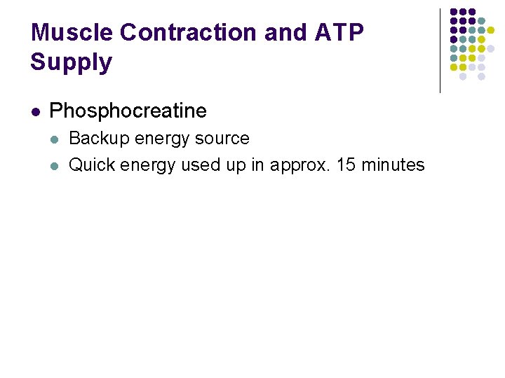 Muscle Contraction and ATP Supply l Phosphocreatine l l Backup energy source Quick energy