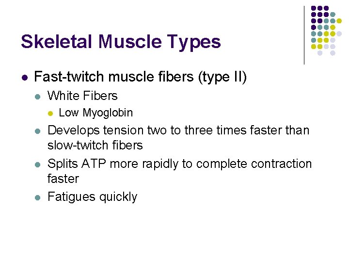 Skeletal Muscle Types l Fast-twitch muscle fibers (type II) l White Fibers l l