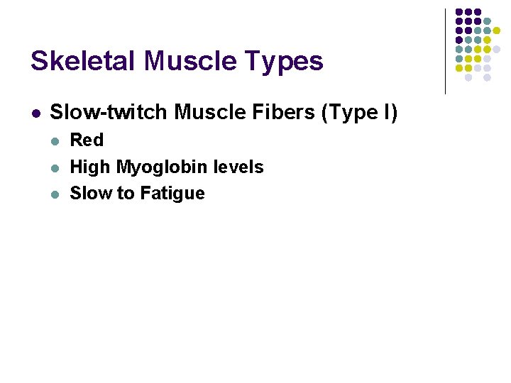 Skeletal Muscle Types l Slow-twitch Muscle Fibers (Type I) l l l Red High