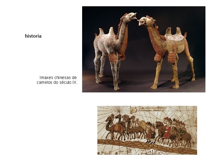 historia Imaxes chinesas de camelos do século IX. 