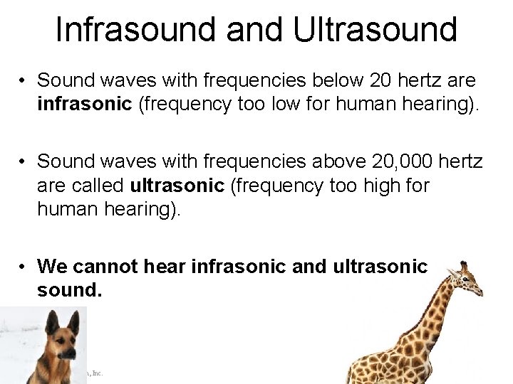 Infrasound and Ultrasound • Sound waves with frequencies below 20 hertz are infrasonic (frequency
