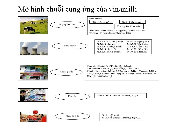  Mô hình chuỗi cung ứng của vinamilk 