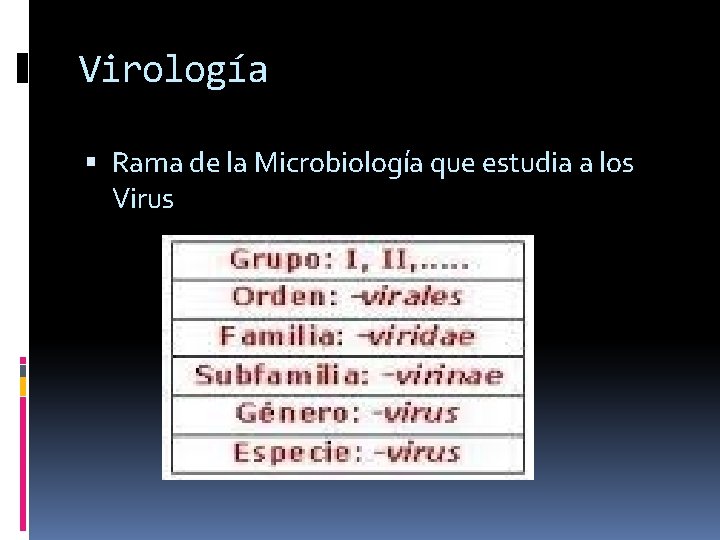Virología Rama de la Microbiología que estudia a los Virus 