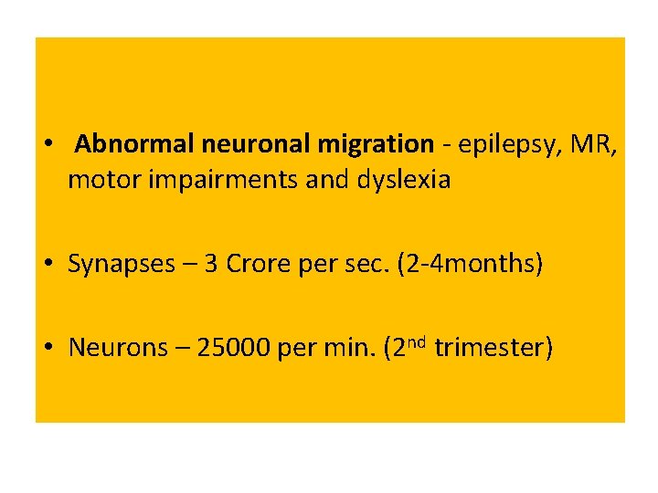  • Abnormal neuronal migration - epilepsy, MR, motor impairments and dyslexia • Synapses