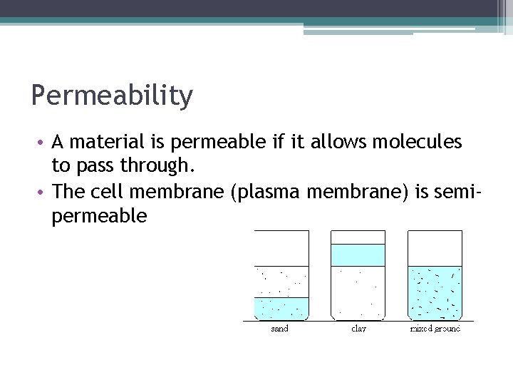 Permeability • A material is permeable if it allows molecules to pass through. •