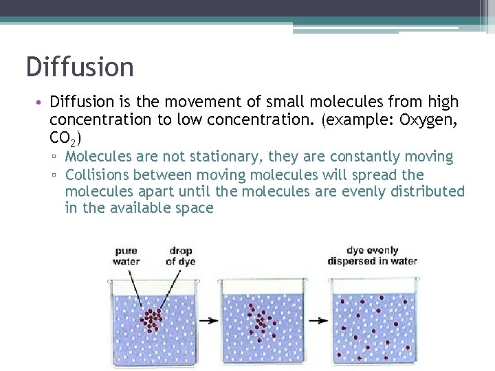 Diffusion • Diffusion is the movement of small molecules from high concentration to low