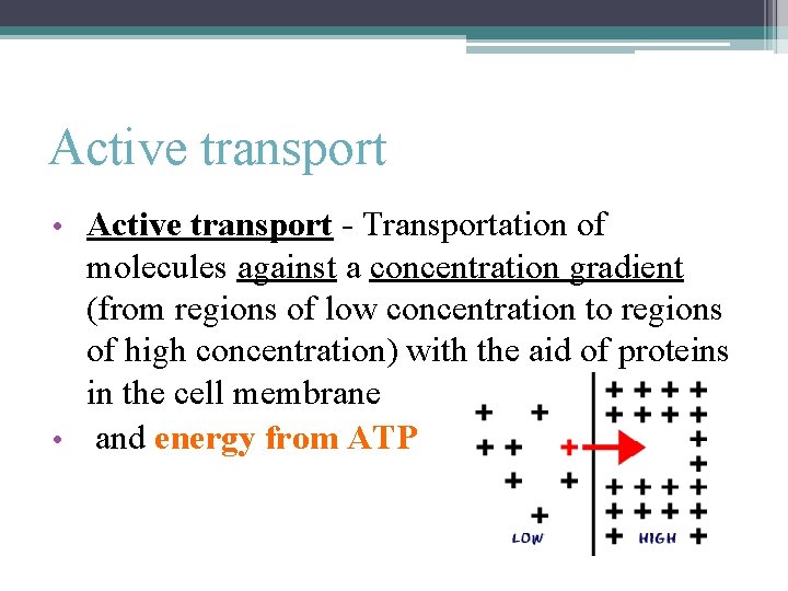 Active transport • Active transport - Transportation of molecules against a concentration gradient (from