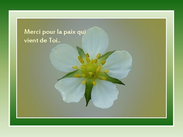 Merci pour la paix qui vient de Toi. . 