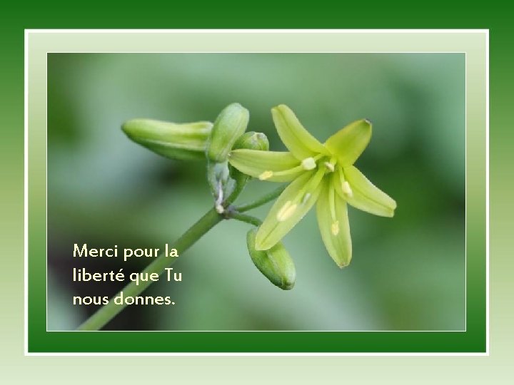 Merci pour la liberté que Tu nous donnes. 