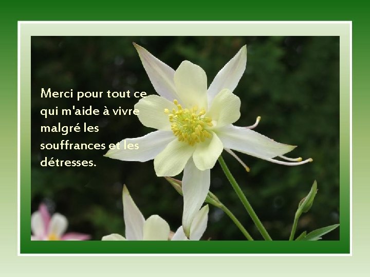 Merci pour tout ce qui m'aide à vivre malgré les souffrances et les détresses.