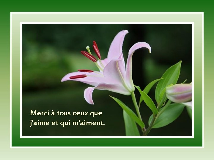 Merci à tous ceux que j'aime et qui m'aiment. 