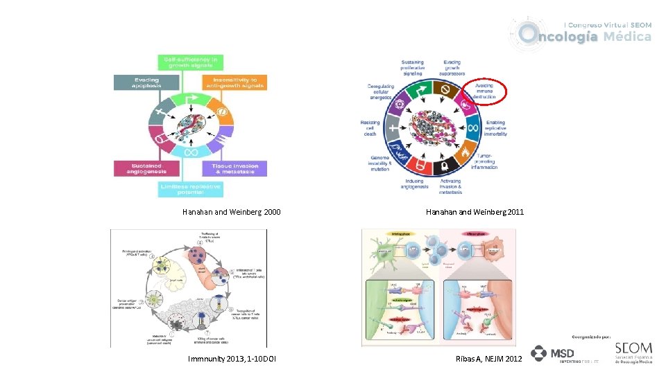 Hanahan and Weinberg 2000 Immnunity 2013, 1 -10 DOI Hanahan and Weinberg 2011 Ribas