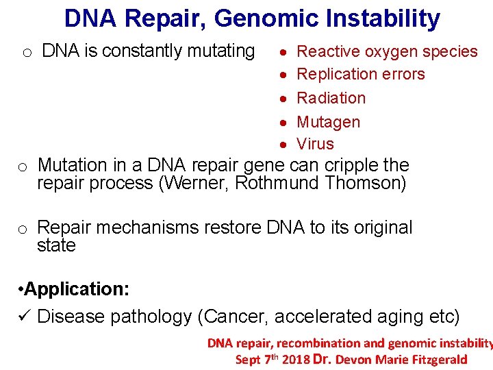 DNA Repair, Genomic Instability o DNA is constantly mutating · · · Reactive oxygen DNA Repair, Genomic Instability o DNA is constantly mutating · · · Reactive oxygen
