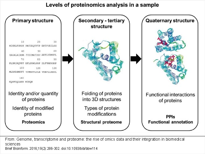 From: Genome, transcriptome and proteome: the rise of omics data and their integration in