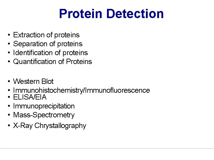 Protein Detection • • Extraction of proteins Separation of proteins Identification of proteins Quantification