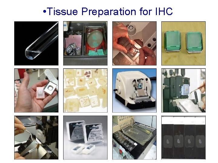  • Tissue Preparation for IHC 