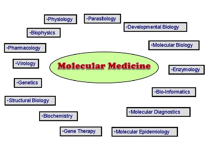 • Physiology • Parasitology • Developmental Biology • Biophysics • Molecular Biology • • Physiology • Parasitology • Developmental Biology • Biophysics • Molecular Biology •