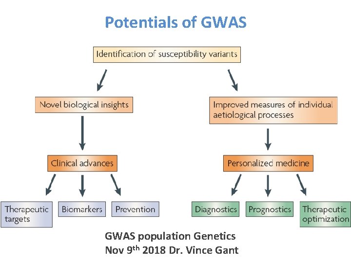 Potentials of GWAS population Genetics Nov 9 th 2018 Dr. Vince Gant 