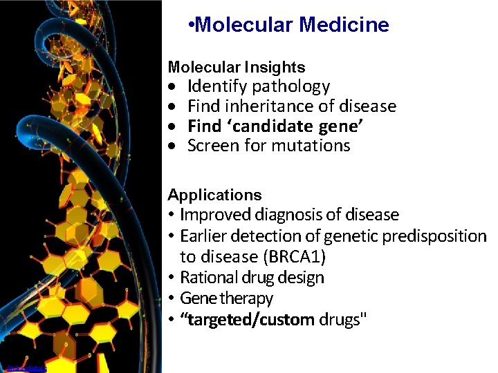 • Molecular Medicine Molecular Insights · · Identify pathology Find inheritance of disease • Molecular Medicine Molecular Insights · · Identify pathology Find inheritance of disease