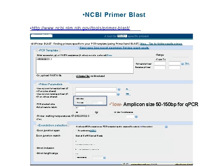 • NCBI Primer Blast • http: //www. ncbi. nlm. nih. gov/tools/primer-blast/ • Primer-BLAST • NCBI Primer Blast • http: //www. ncbi. nlm. nih. gov/tools/primer-blast/ • Primer-BLAST