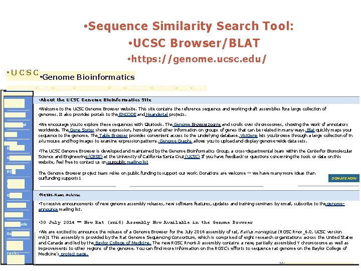  • Sequence Similarity Search Tool: • UCSC Browser/BLAT • https: //genome. ucsc. edu/