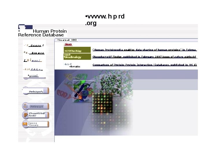 • vvvvw. h p rd. org • Human Protein Reference Database • You • vvvvw. h p rd. org • Human Protein Reference Database • You