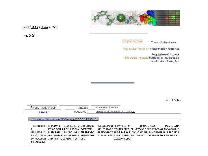  • are at HPRD » Query » p 53 • p 53 ILT: