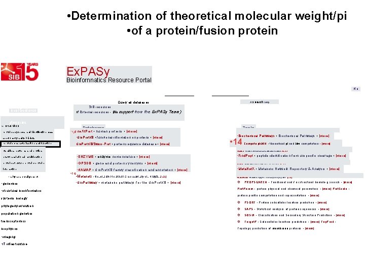  • Determination of theoretical molecular weight/pi • of a protein/fusion protein Ex. PASy