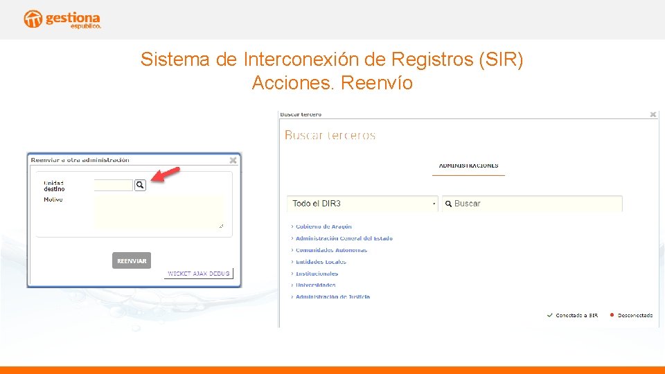 Sistema de Interconexión de Registros (SIR) Acciones. Reenvío 