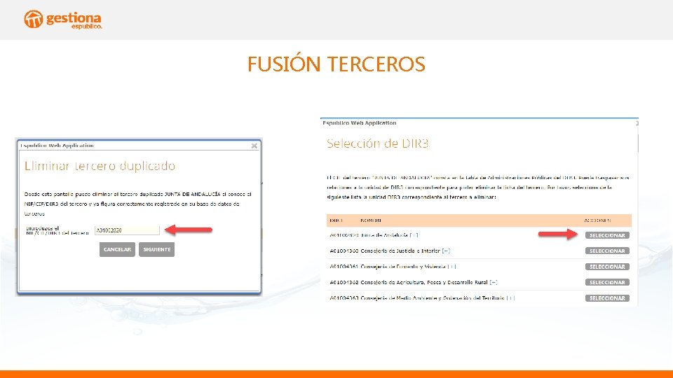 FUSIÓN TERCEROS 