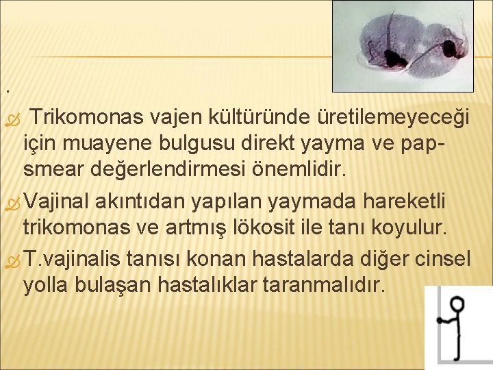 . Trikomonas vajen kültüründe üretilemeyeceği için muayene bulgusu direkt yayma ve papsmear değerlendirmesi önemlidir.